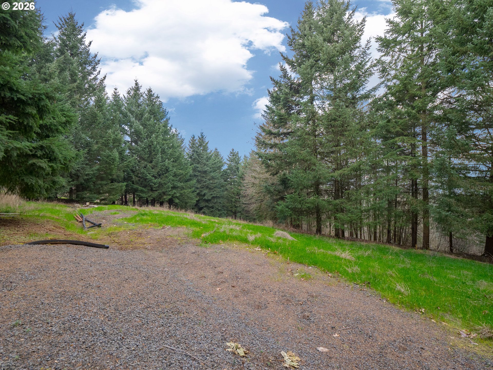 19601 Northeast Trunk Road Dundee, OR 97115 - Photo 20 of 37