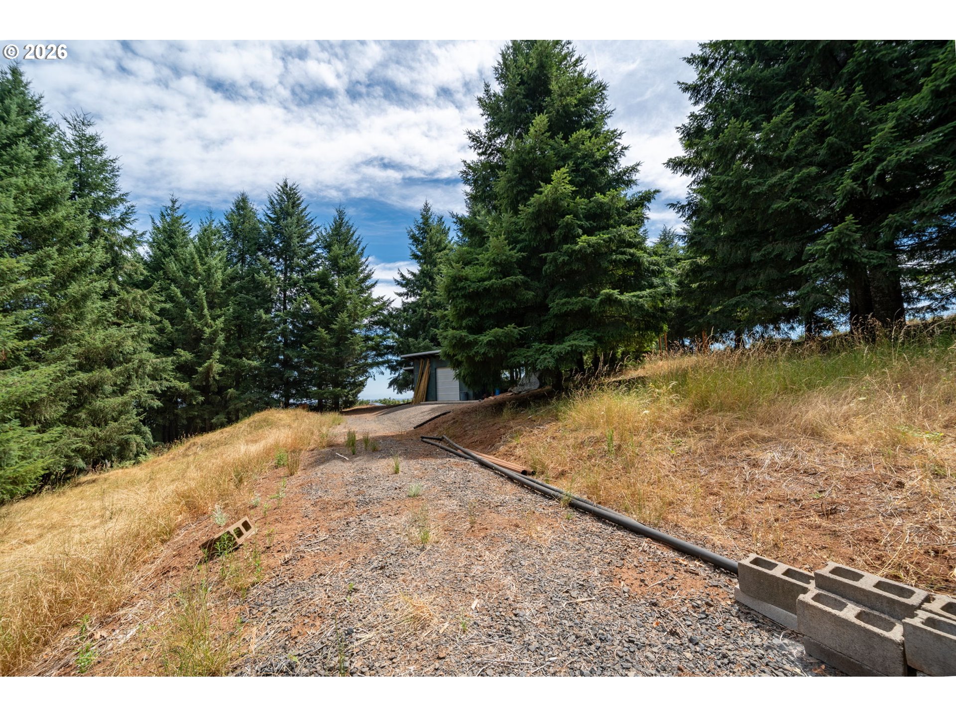 19601 Northeast Trunk Road Dundee, OR 97115 - Photo 9 of 16 a view of a yard with wooden fence