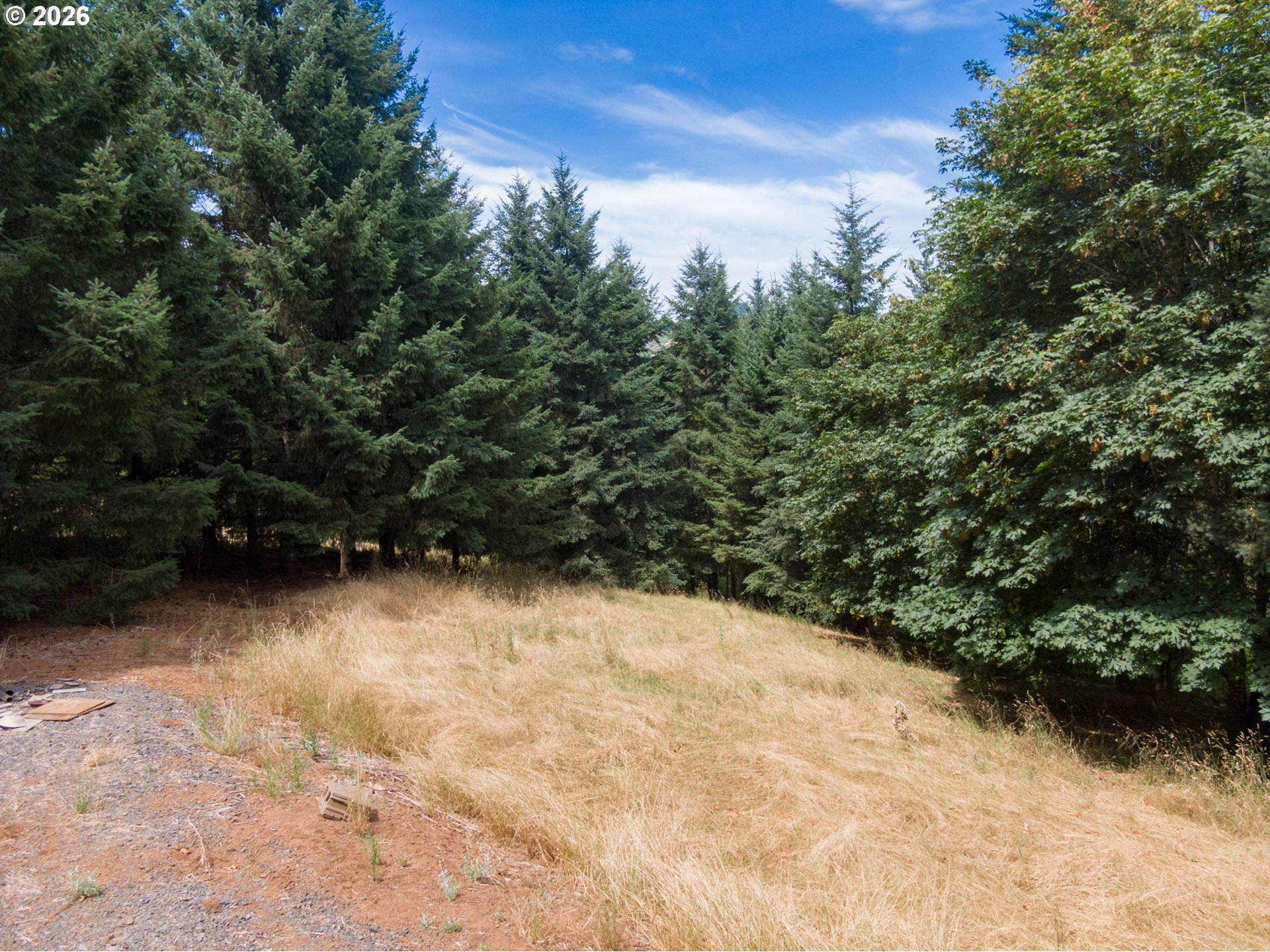 19601 Northeast Trunk Road Dundee, OR 97115 - Photo 10 of 16