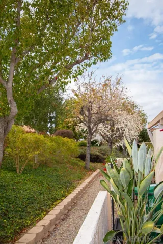 a view of a park with iron fence