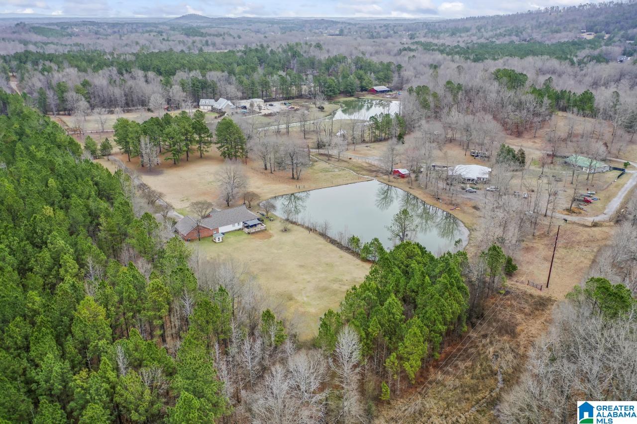 1726 Alston Farm Road Columbiana, AL 35051 - Photo 48 of 61