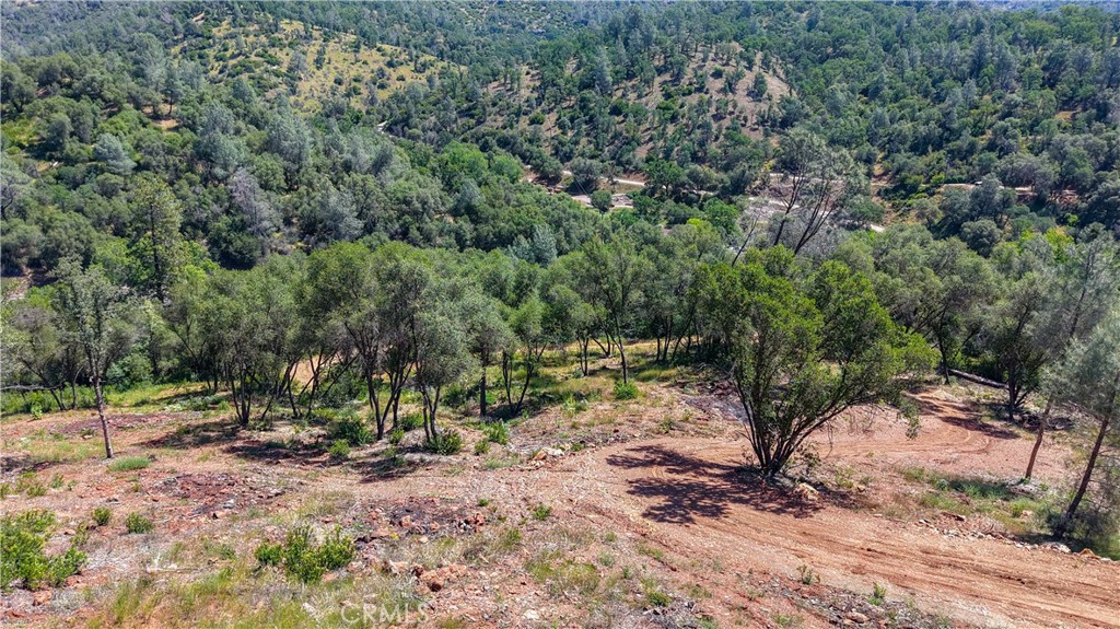 10 Miller Road Mariposa, CA 95338 - Photo 26 of 34 a view of a forest with trees in the background