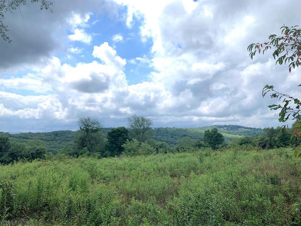 Off Teaberry Hollow Road Schellsburg, PA 15559 - Photo 1 of 10 Gallery Image 1