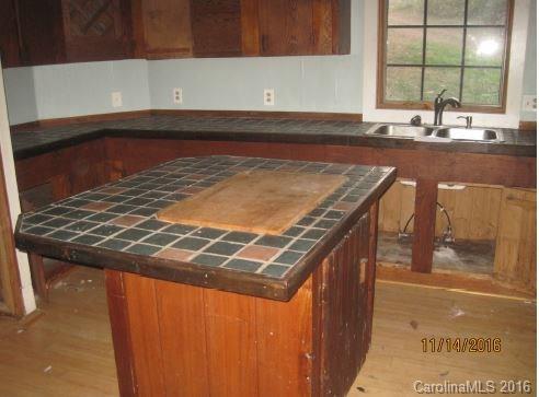 10913 Rush Fork Road Clyde, NC 28721 - Photo 2 of 5