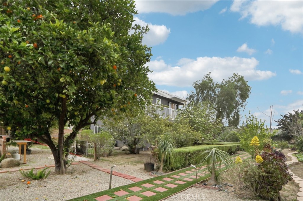 18320 Ingomar Street Reseda, CA 91335 - Photo 36 of 75 Fruit trees and gardens