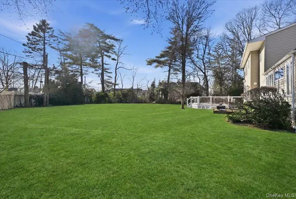 a garden view with tall trees