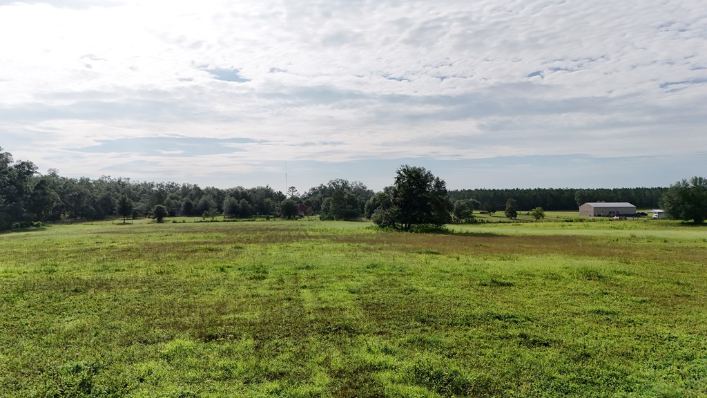 Vacant 145th Road Live Oak, FL 32060 - Photo 32 of 42