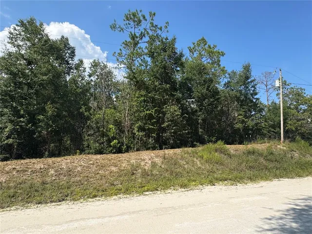 $40,000 | 43 Southwest Kentucky Street, Fort White, FL 32038