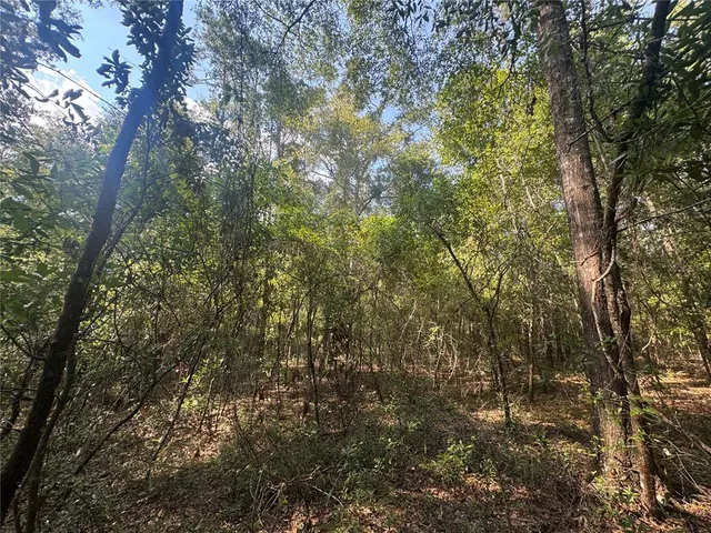 $40,000 | 43 Southwest Kentucky Street, Fort White, FL 32038