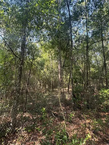 $40,000 | 43 Southwest Kentucky Street, Fort White, FL 32038