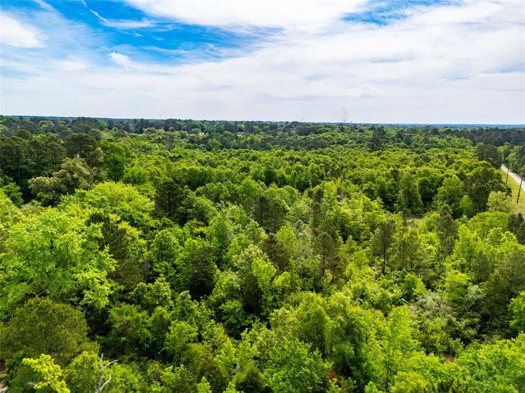 Tbd White Oak Road Big Sandy, TX 75755 - Photo 13 of 24