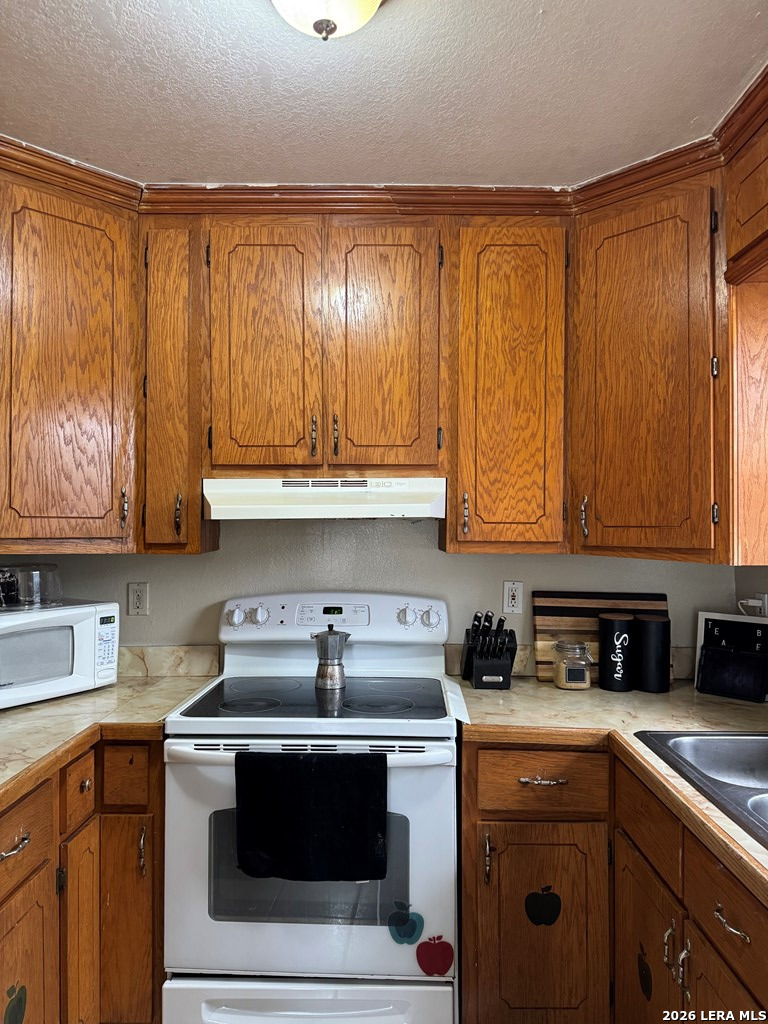 106 Los Sauces Road Eagle Pass, TX 78852 - Photo 15 of 42