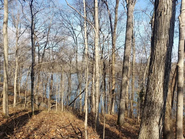 a view of a backyard of the house