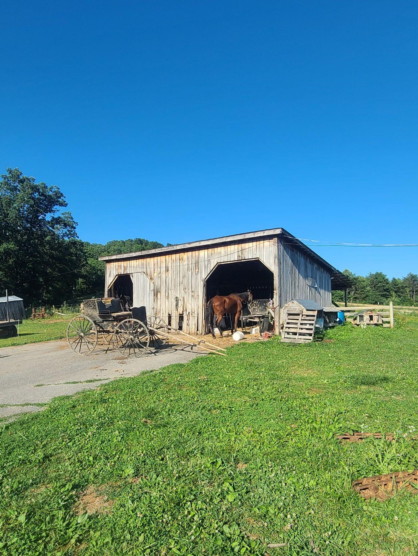 883 Sugar Run Road Ballard, WV 24918 - Photo 3 of 86 Gallery Image 3