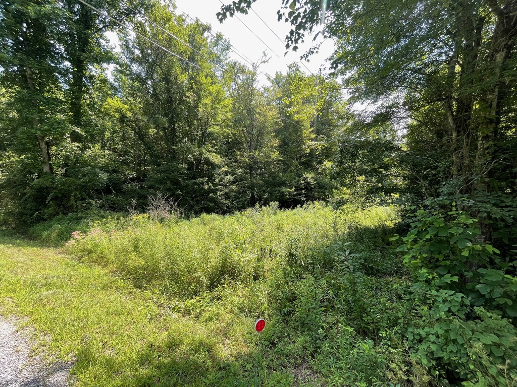 Lot 15 Conners Rdg Road Young Harris, GA 30582 - Photo 2 of 7 Gallery Image 2