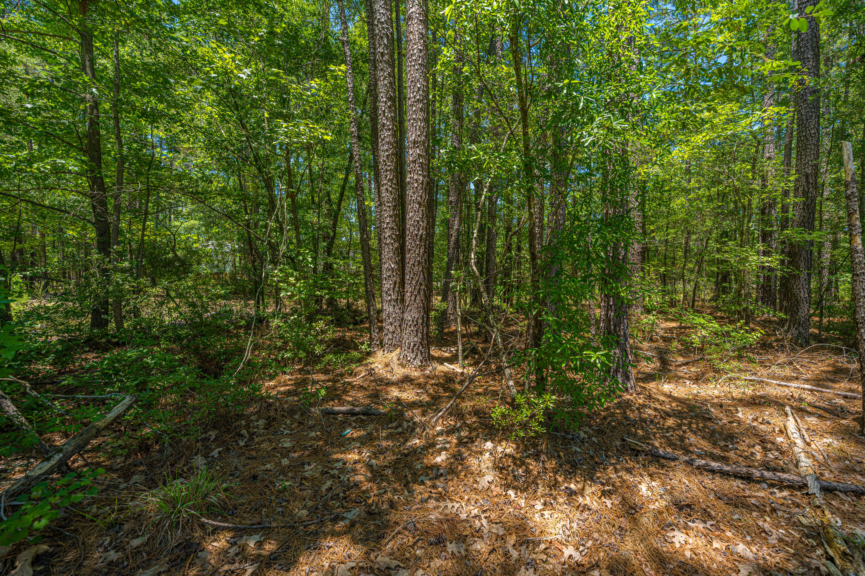 3013 Flat Rock Lane Ridgeville, SC 29472 - Photo 62 of 66 3013FlatRockLn062