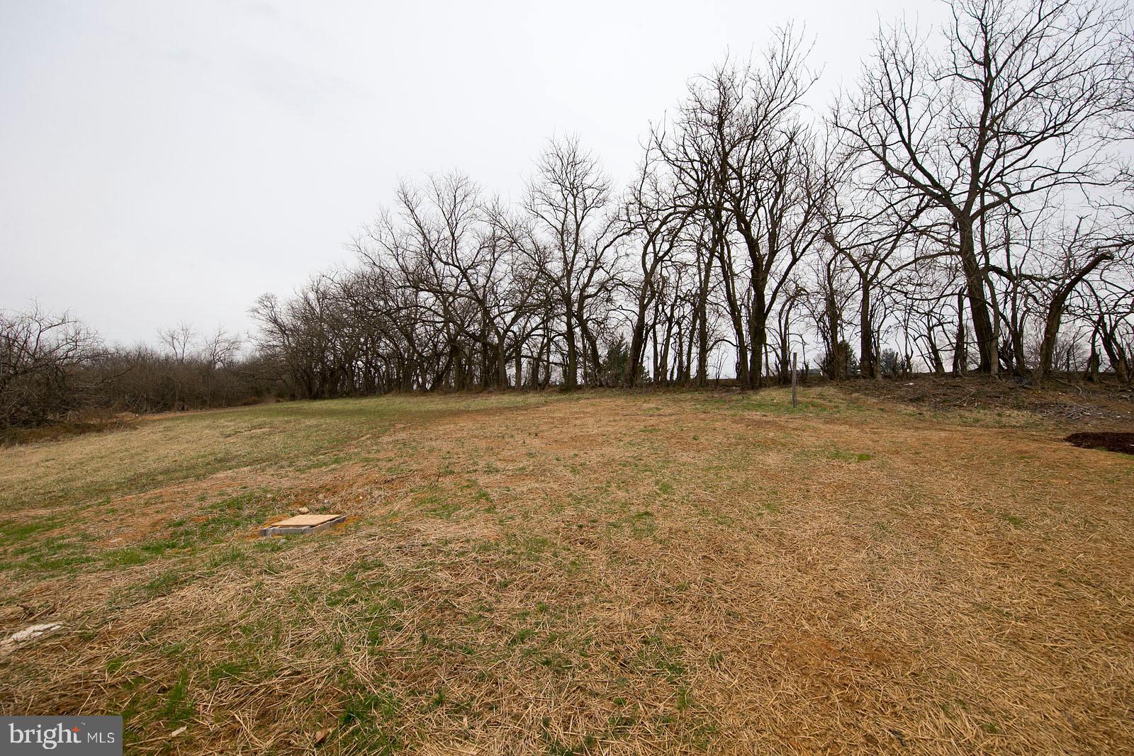 222 Springdale Road Winchester, VA 22602 - Photo 43 of 44 One acre of land