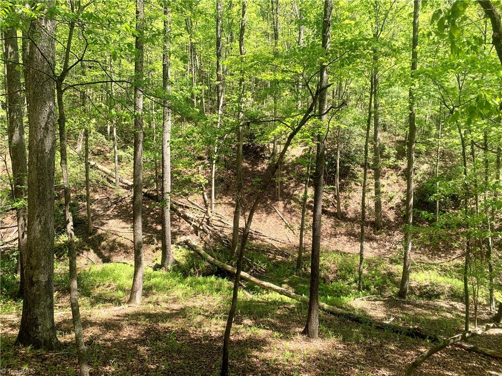 728 Luffman Road Dobson, NC 27017 - Photo 14 of 50 Gallery Image 14