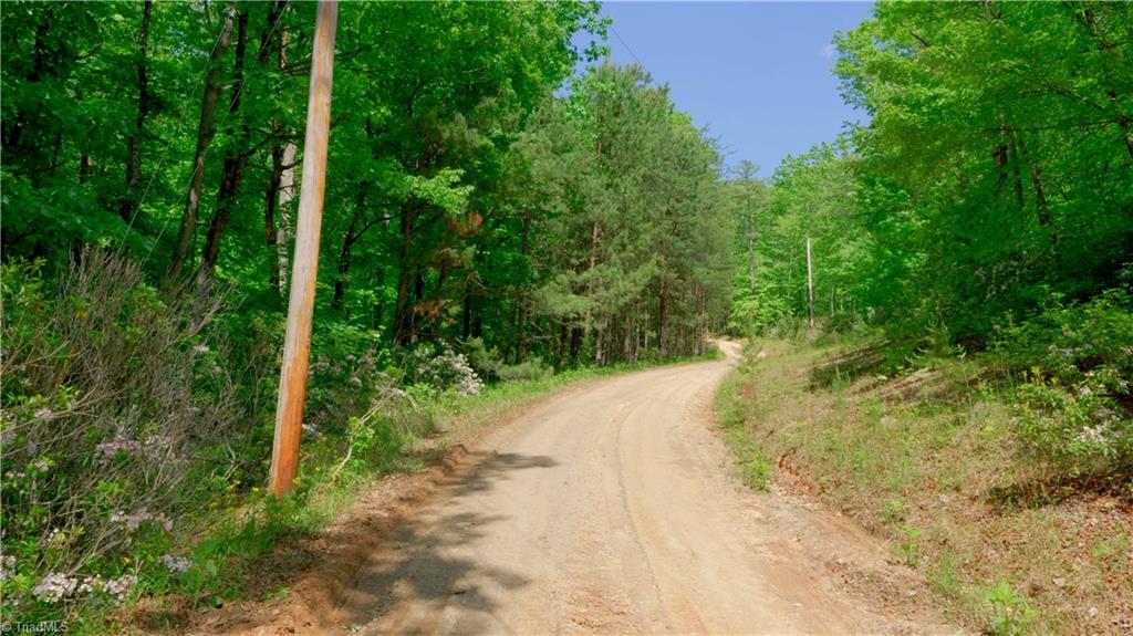 728 Luffman Road Dobson, NC 27017 - Photo 30 of 50 Gallery Image 30