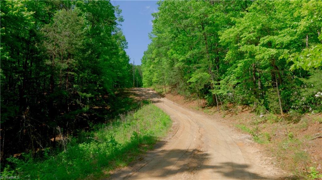 728 Luffman Road Dobson, NC 27017 - Photo 31 of 50 Gallery Image 31