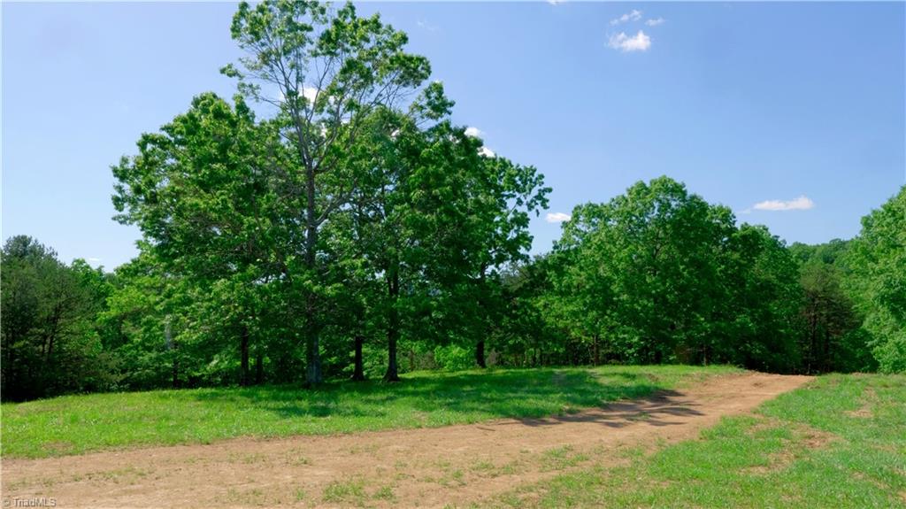 728 Luffman Road Dobson, NC 27017 - Photo 33 of 50 Gallery Image 33