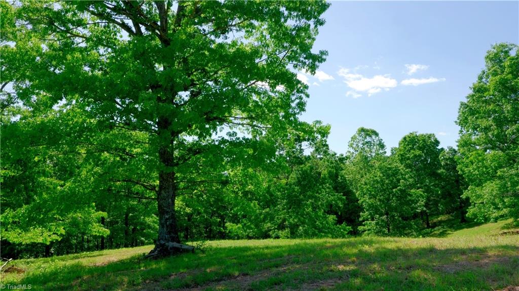 728 Luffman Road Dobson, NC 27017 - Photo 34 of 50 Gallery Image 34