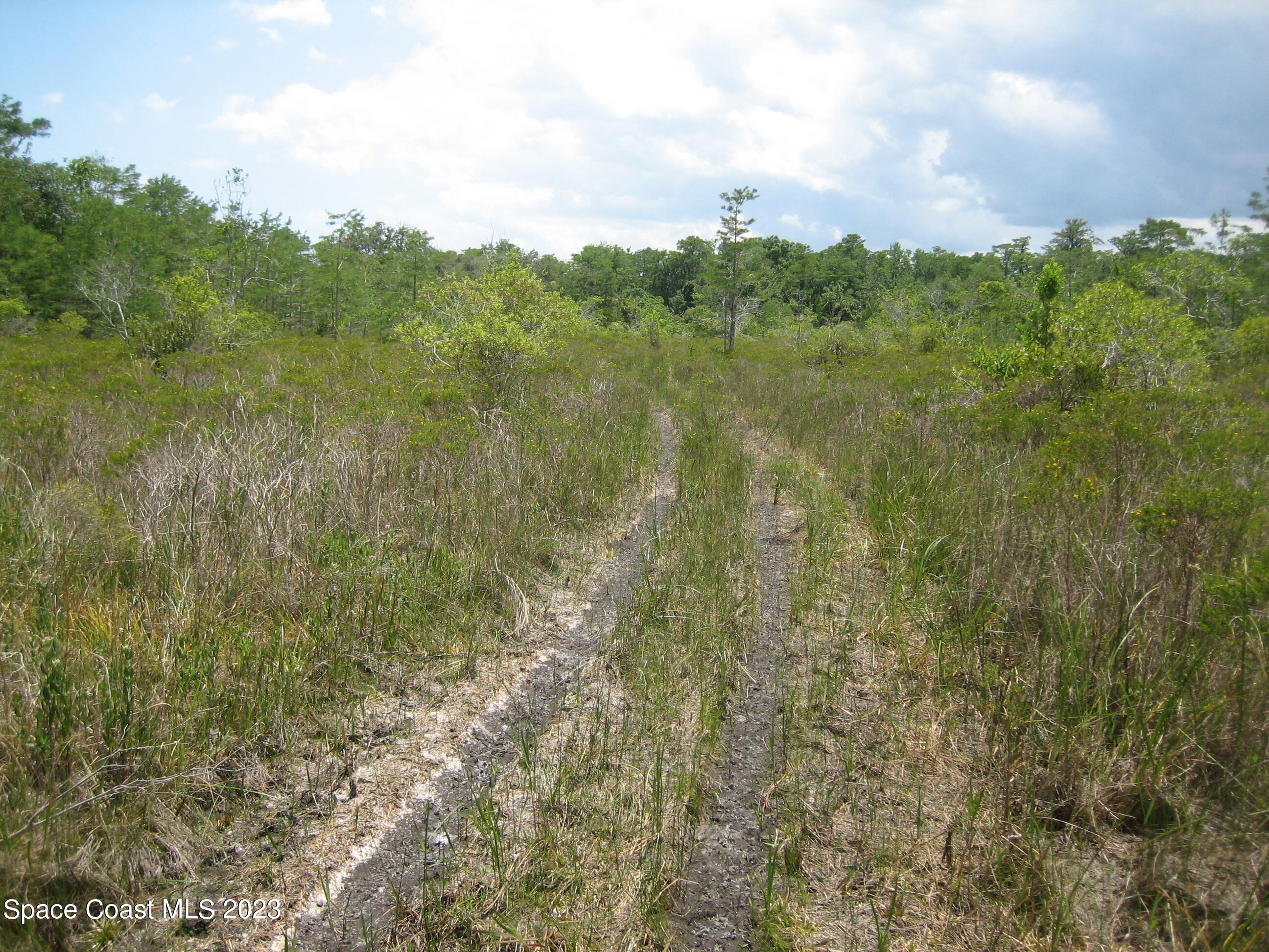 0 Unknown Road Grant, FL 32949 - Photo 3 of 13 a view of a field of grass and trees