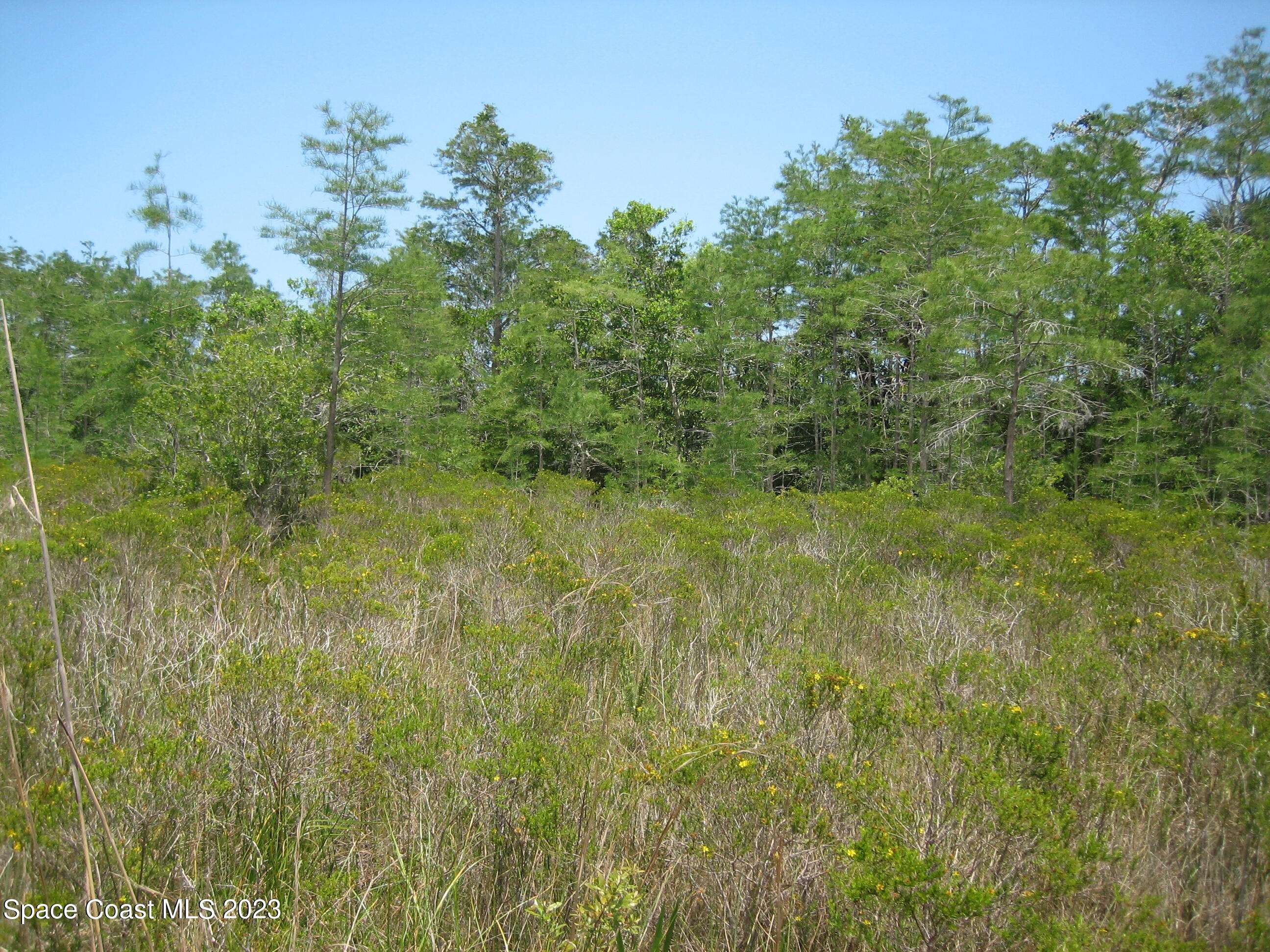 0 Unknown Road Grant, FL 32949 - Photo 7 of 13 a view of a lush green space