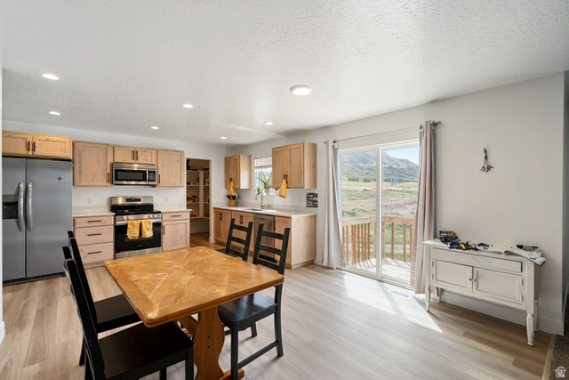 683 West Powderwood Lane Mapleton, UT 84664 - Photo 5 of 28