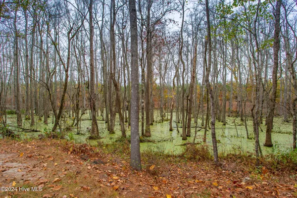 $998,900 | 168 Highland Pony Drive, Hertford, NC 27944