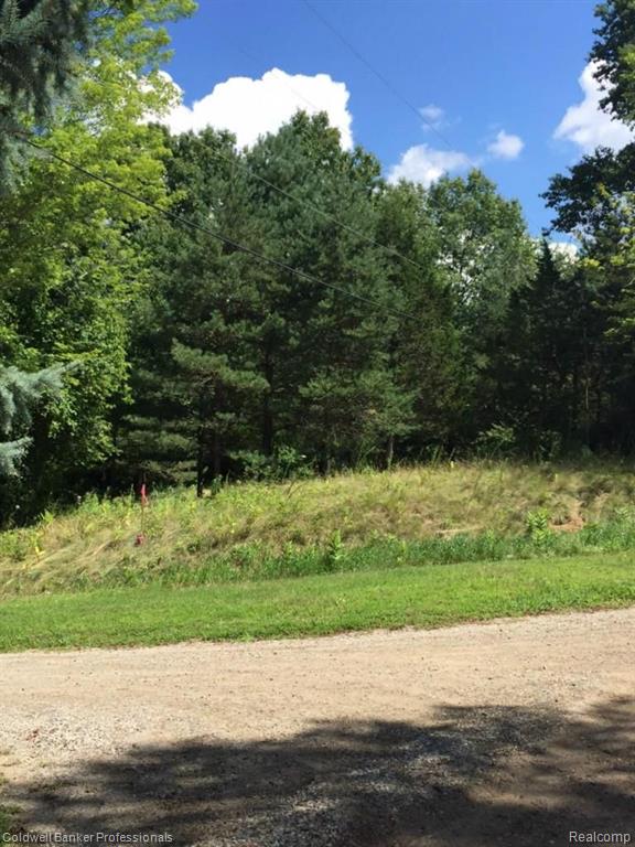 0 Cayuga Road Lake Orion, MI 48362 - Photo 6 of 14