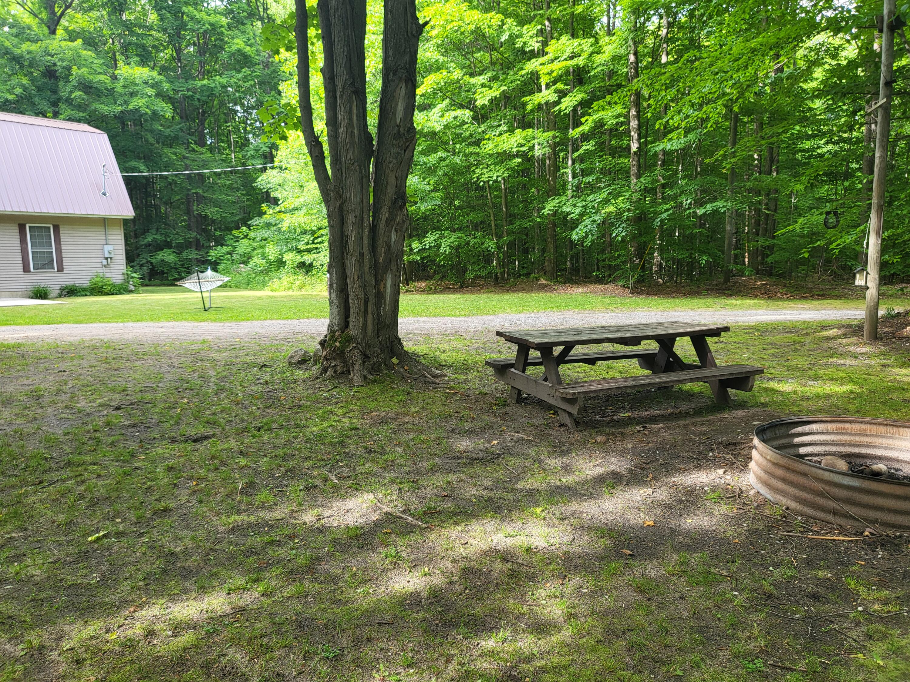 9933 North Roberts Road Frederic, MI 49733 - Photo 56 of 61 1000017093