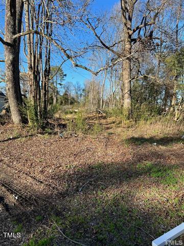604 West Old Road Lillington, NC 27546 - Photo 2 of 4 2516160
