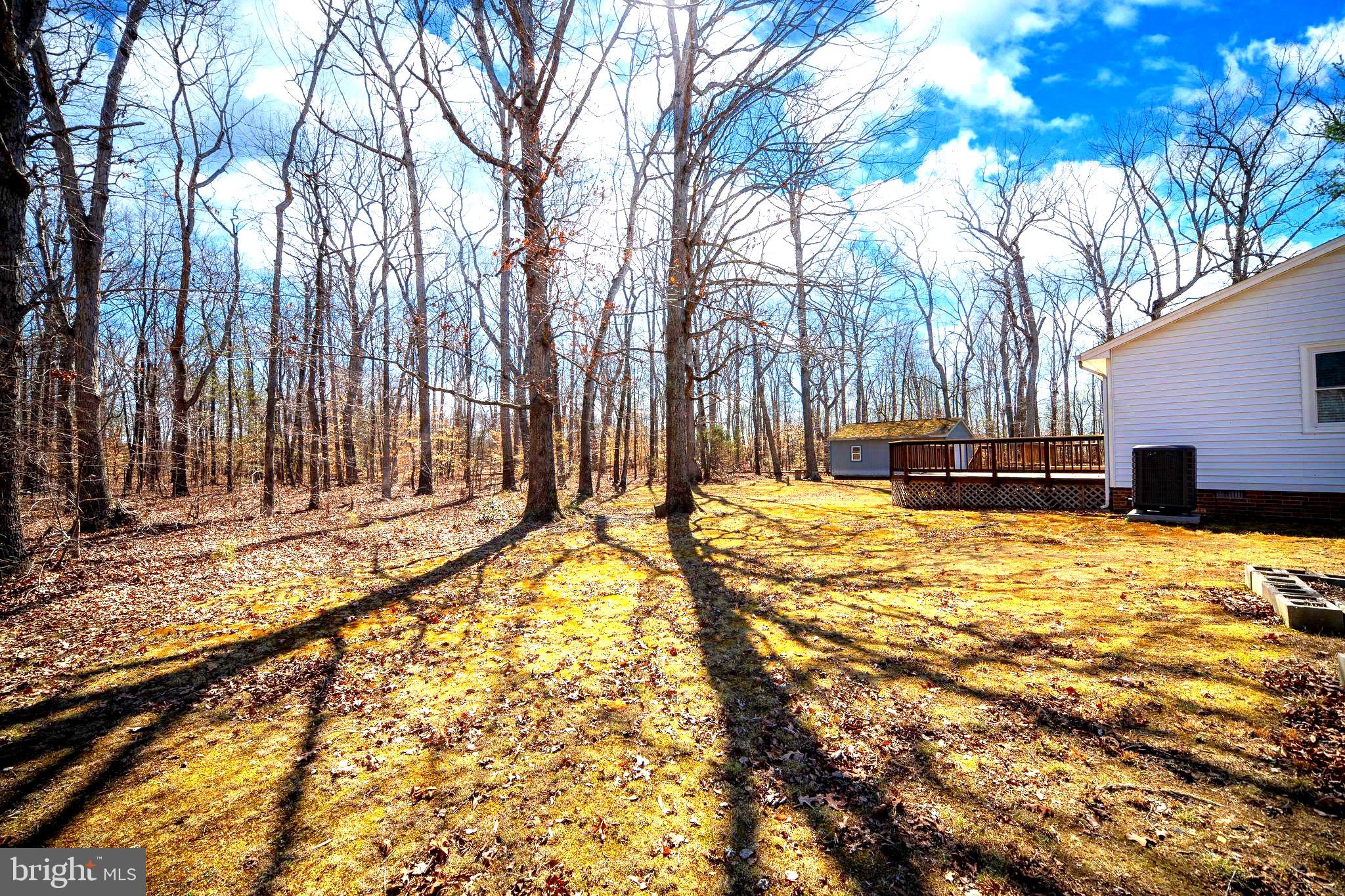 5527 Smith Station Road Fredericksburg, VA 22407 - Photo 45 of 49 View From Back Side Yard