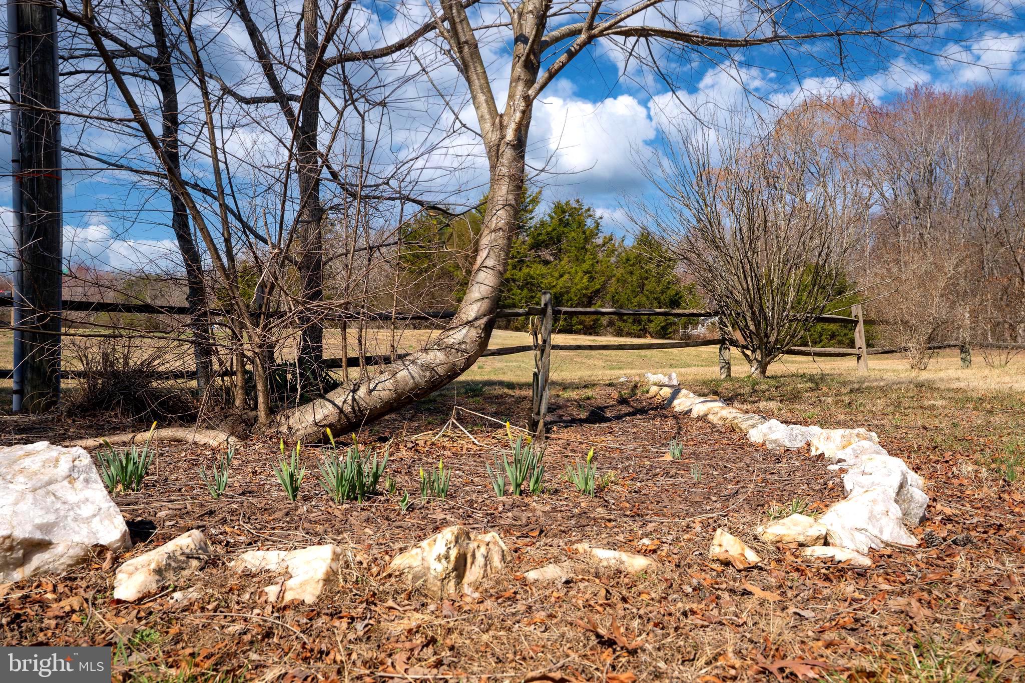 5527 Smith Station Road Fredericksburg, VA 22407 - Photo 10 of 49 Spring Flowers Already Poking Through at the Entry