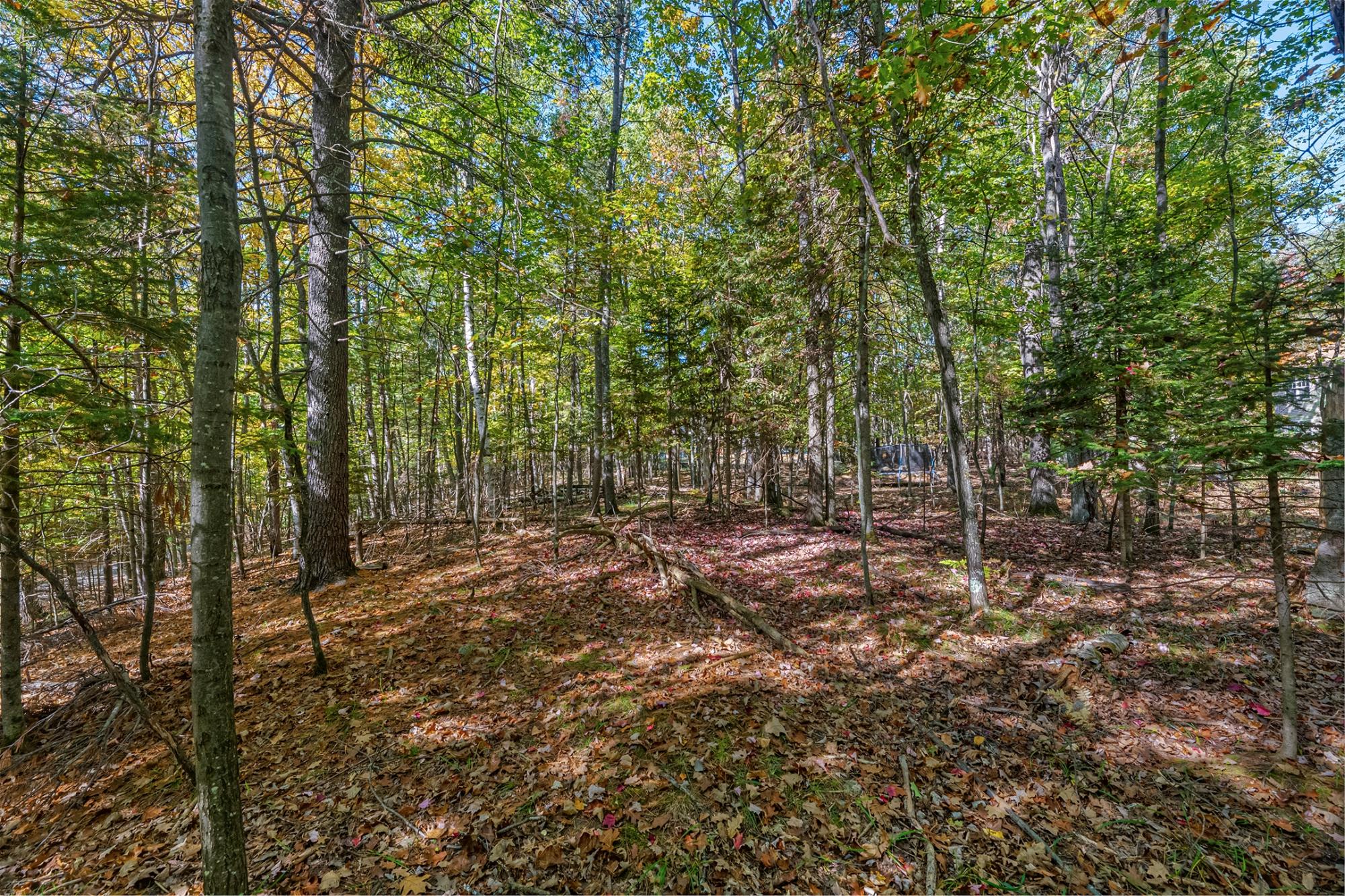 5242 Greenloch Road Rhinelander, WI 54501 - Photo 15 of 15 Gallery Image 15