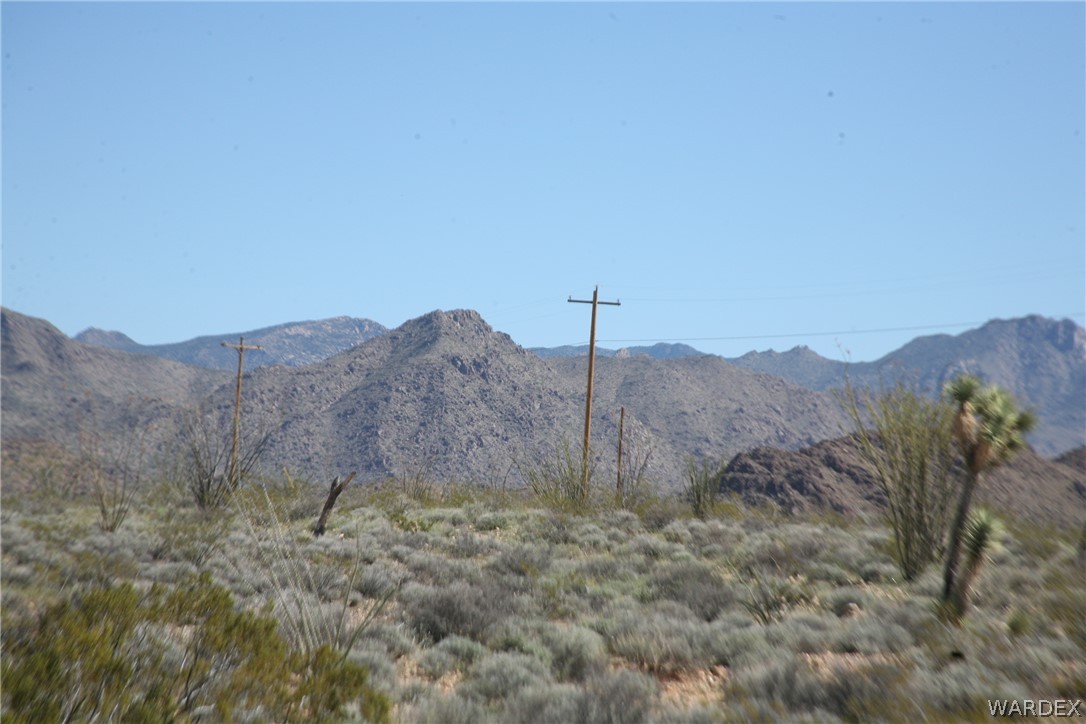 208-24-134 Cameron Road Yucca, AZ 86438 - Photo 11 of 86