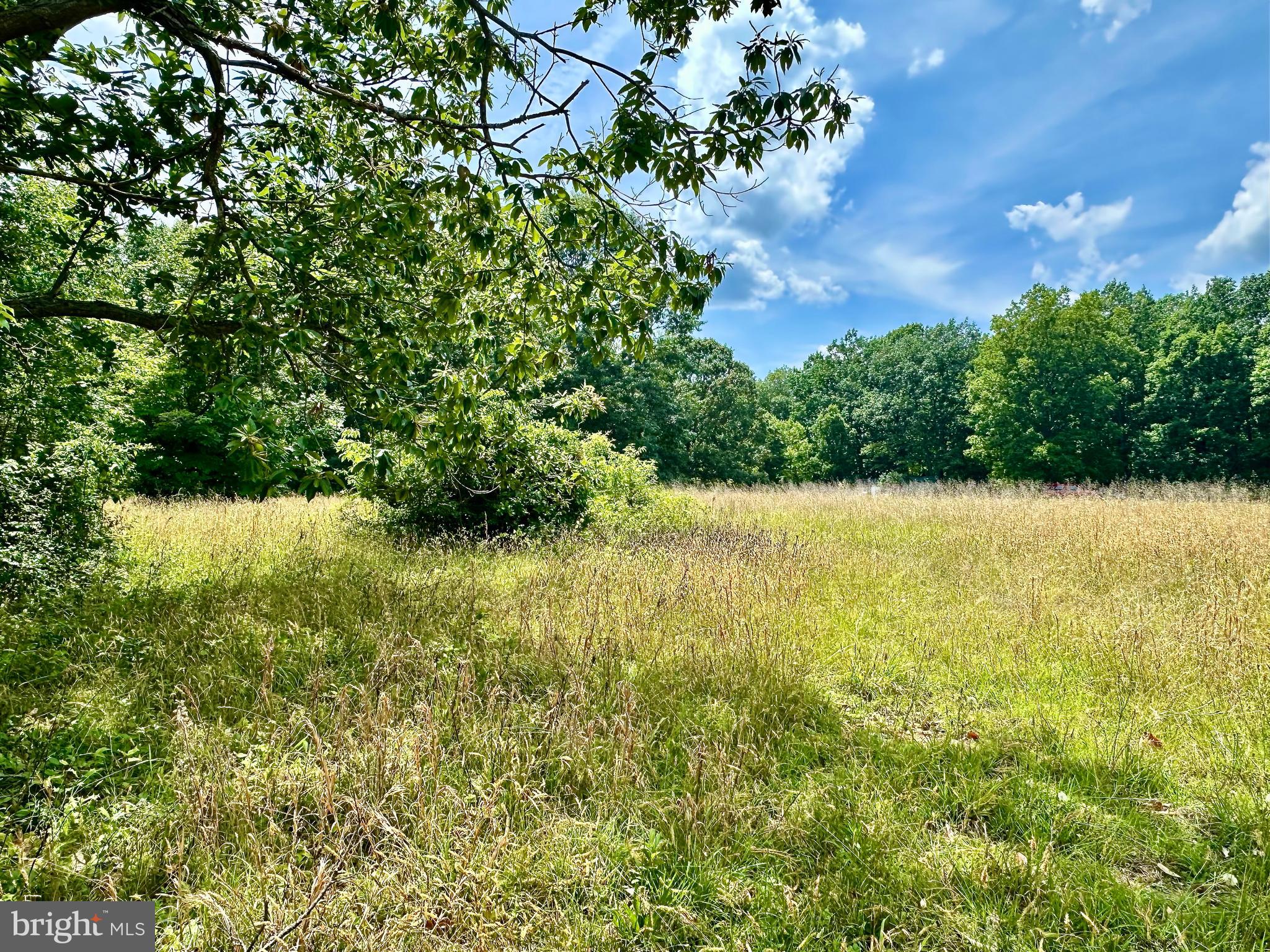 30494 Hicks Road Spotsylvania, VA 22551 - Photo 33 of 33 3.9 Acres!