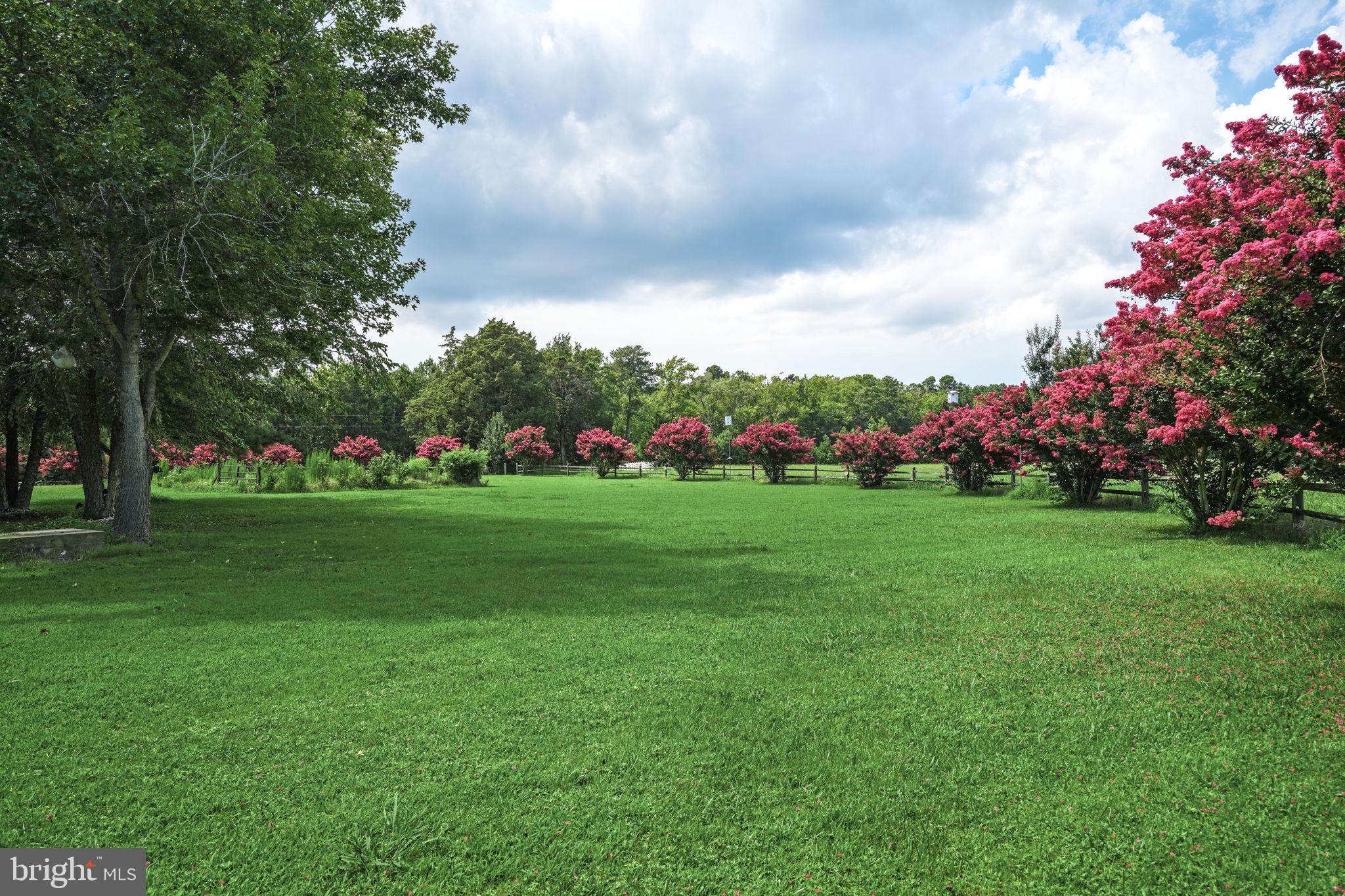 25367 Messongo Road Temperanceville, VA 23442 - Photo 82 of 107
