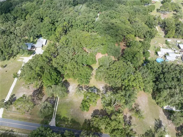 a view of a yard with plants