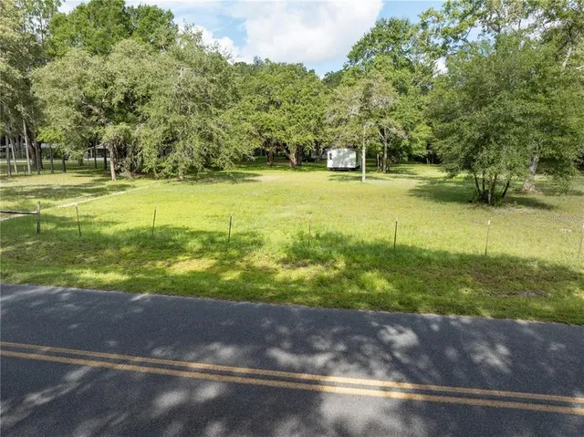 a view of a park with large trees