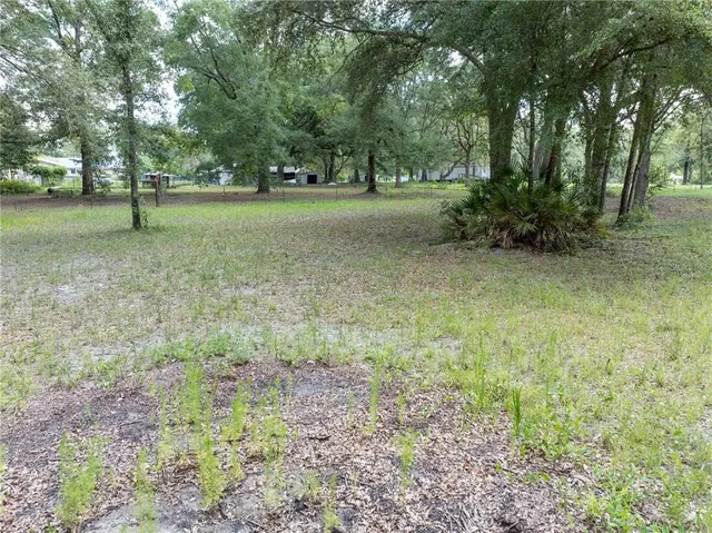 a view of a yard with a tree