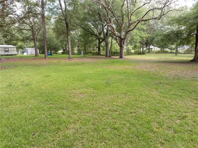 a big yard with lots of green space and trees