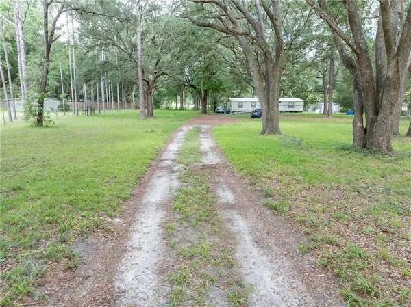 a view of a park with large trees