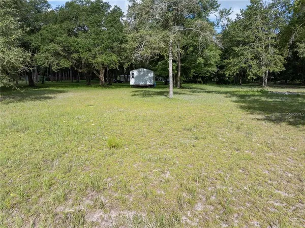 a view of a tree in a yard