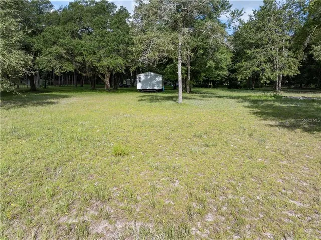 a view of a tree in a yard