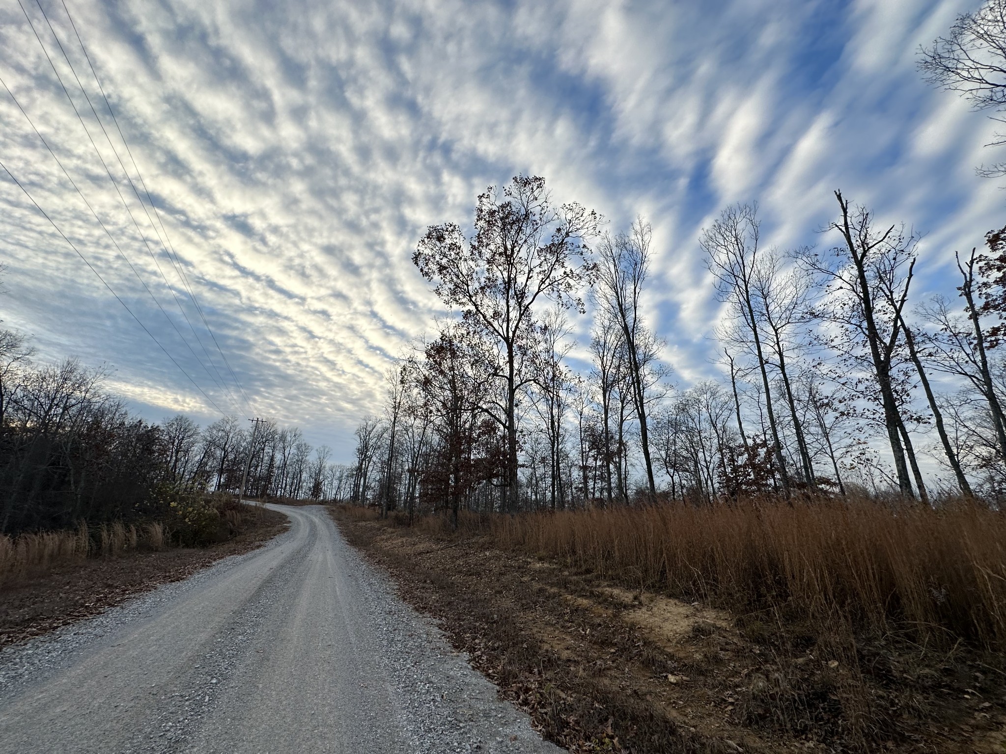79 Overlook Trail Stewart, TN 37175 - Photo 11 of 11 a view of road with trees