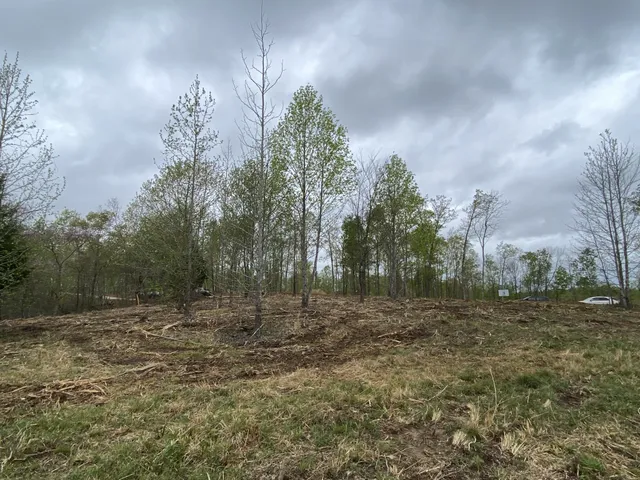 a view of a field with trees in background