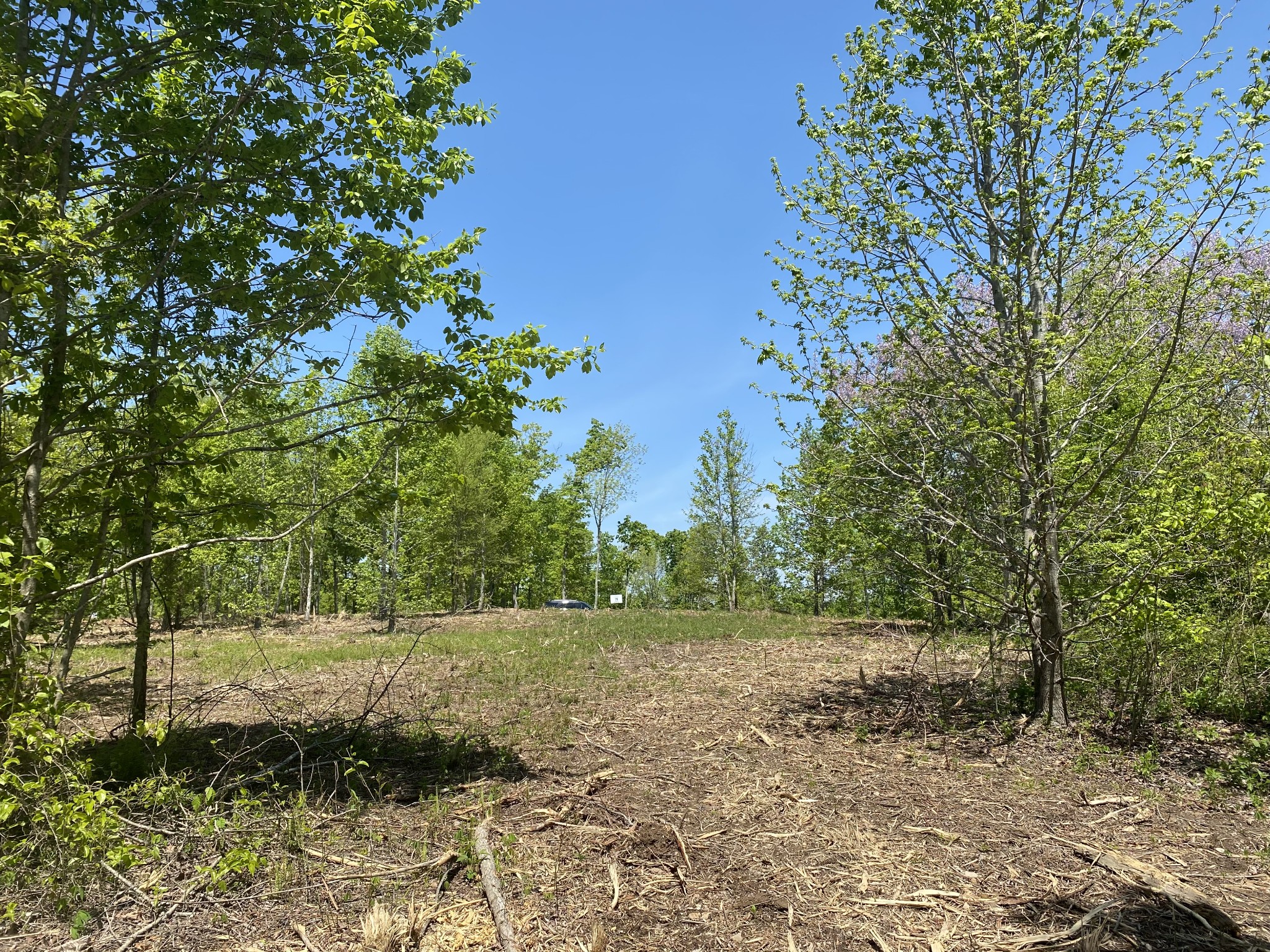 79 Overlook Trail Stewart, TN 37175 - Photo 6 of 11 a view of a yard