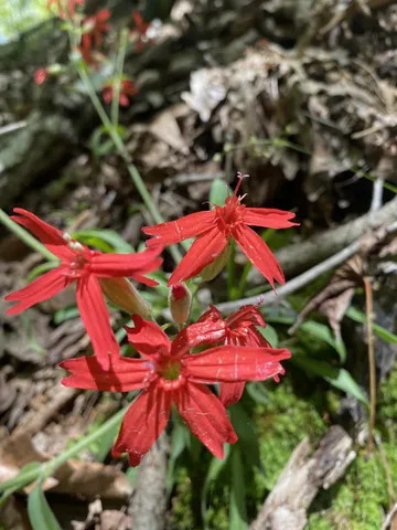 a view of road with trees